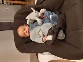 louis